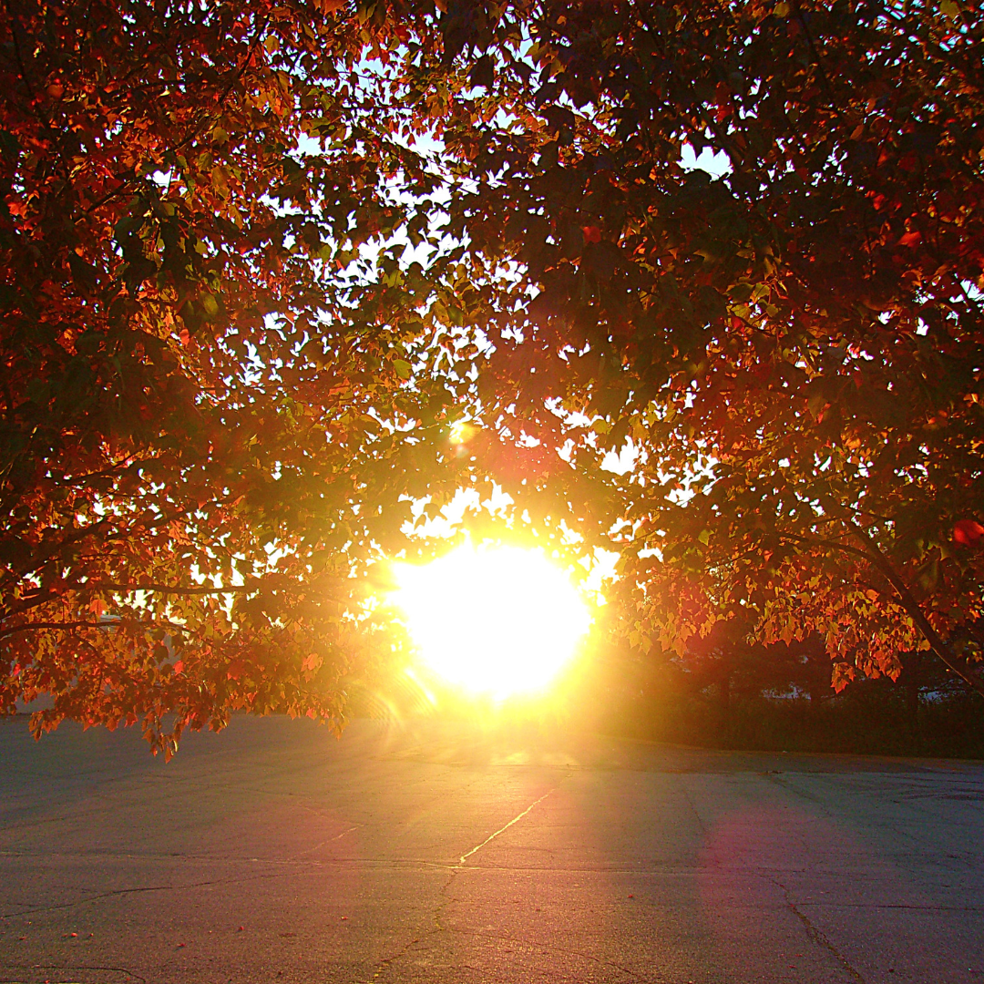 Autumn Glow