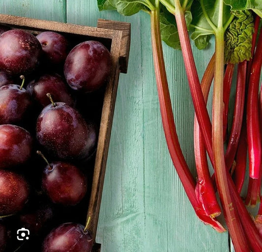 Rhubarb And Dark Plum