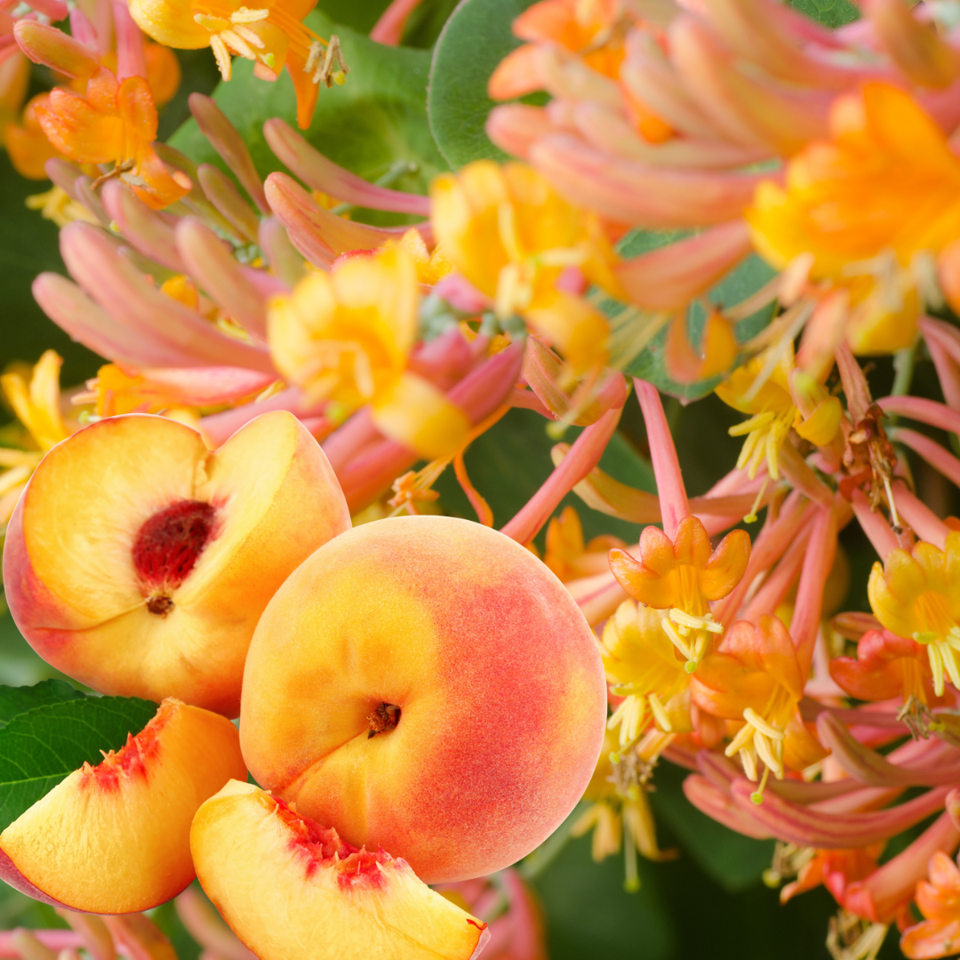 Honeysuckle And Peach Spritz