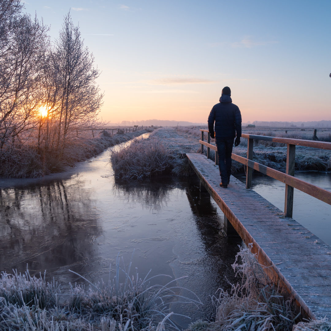 Winter Morning