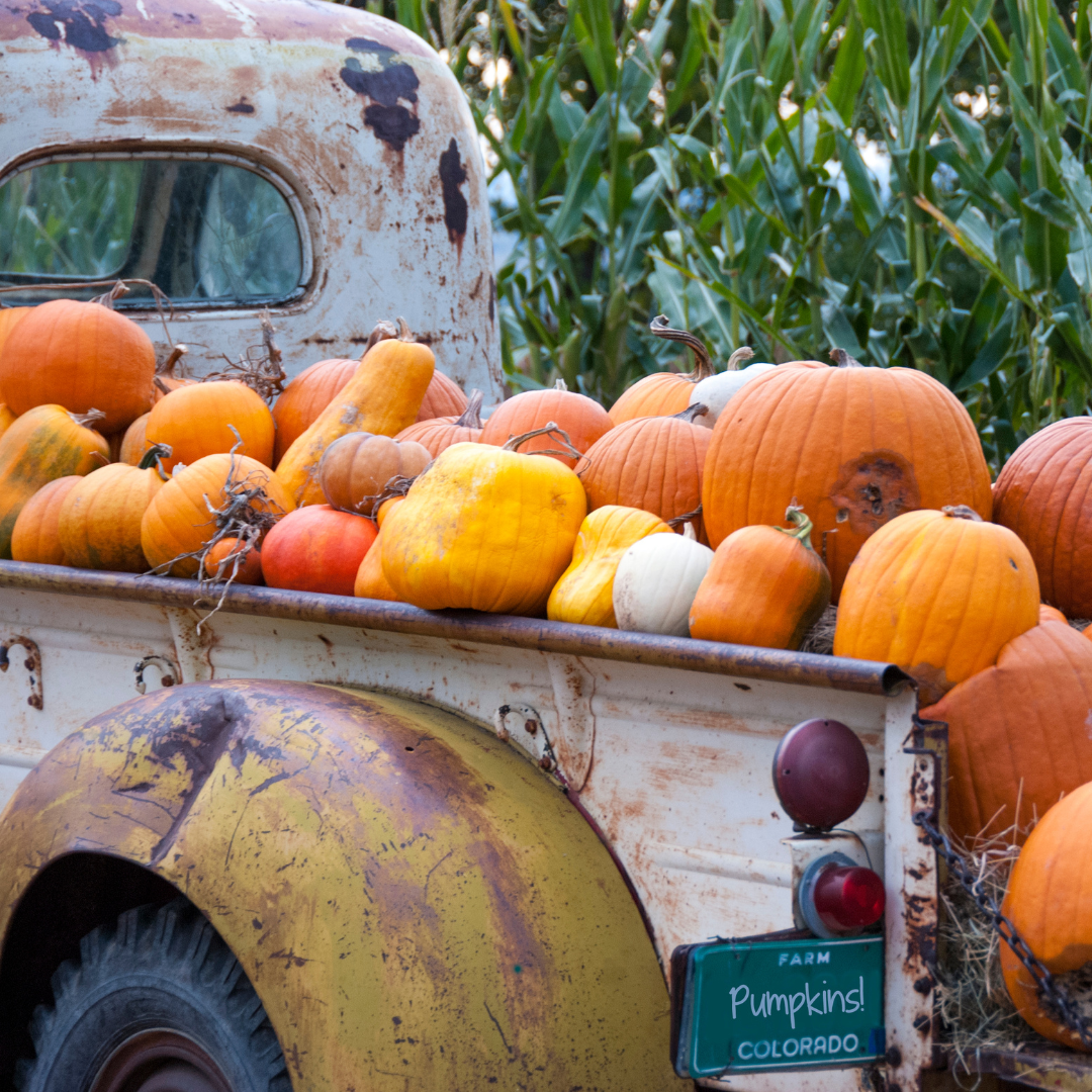 Autumn Road Trip
