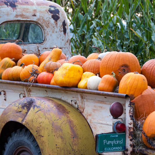 Autumn Road Trip