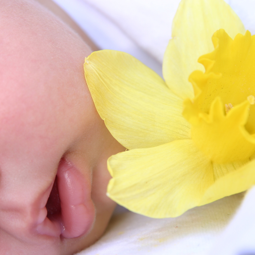 Baby Bloom