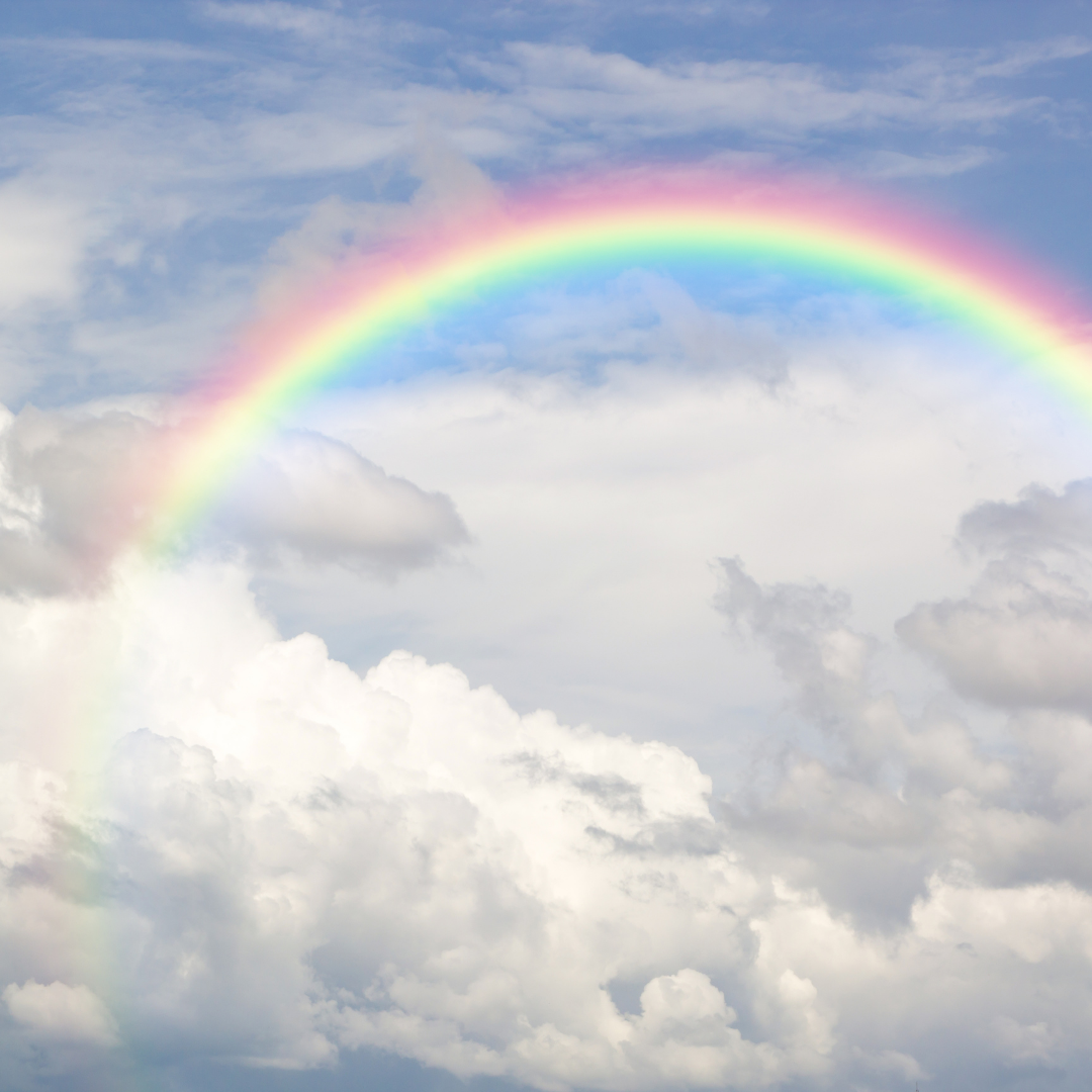 Rainbow Dreaming