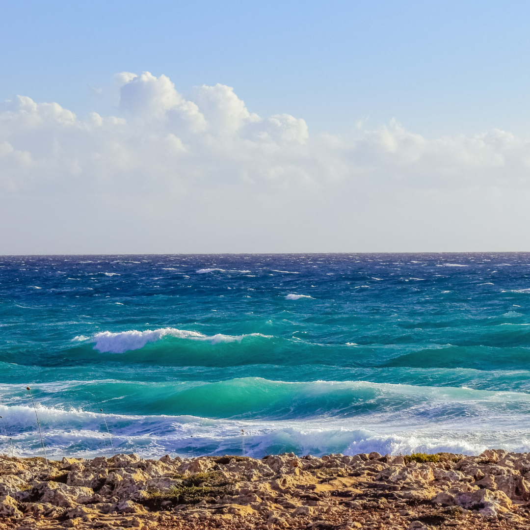 Sea Breeze