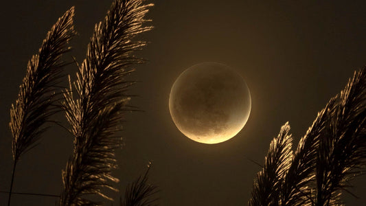 Lunar Eclipse