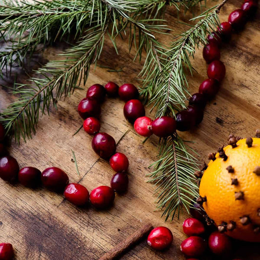 Cranberry Tinsel