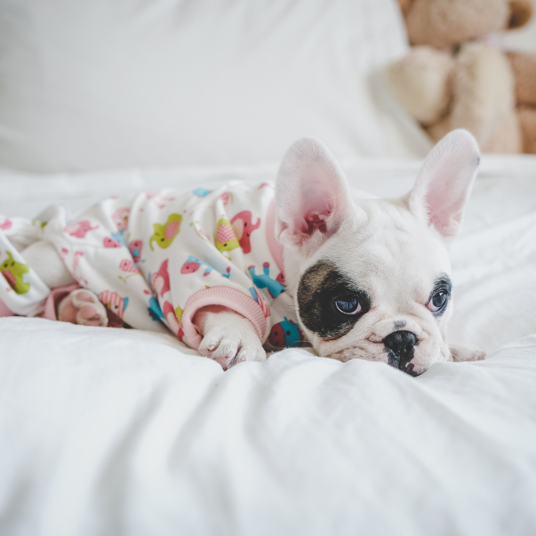 Fresh Pyjama Cuddles