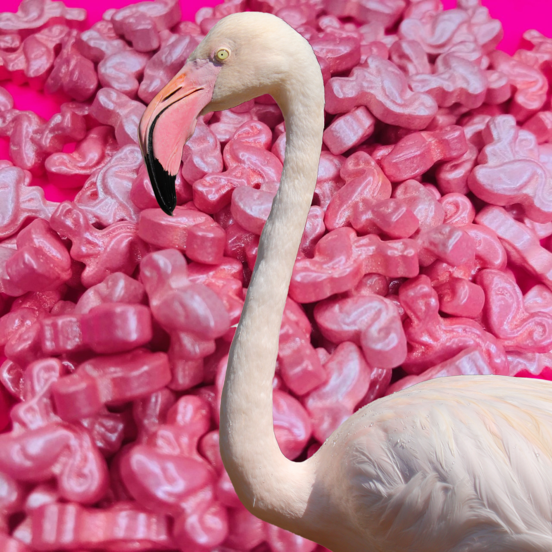 Flamingo Pink Sugar